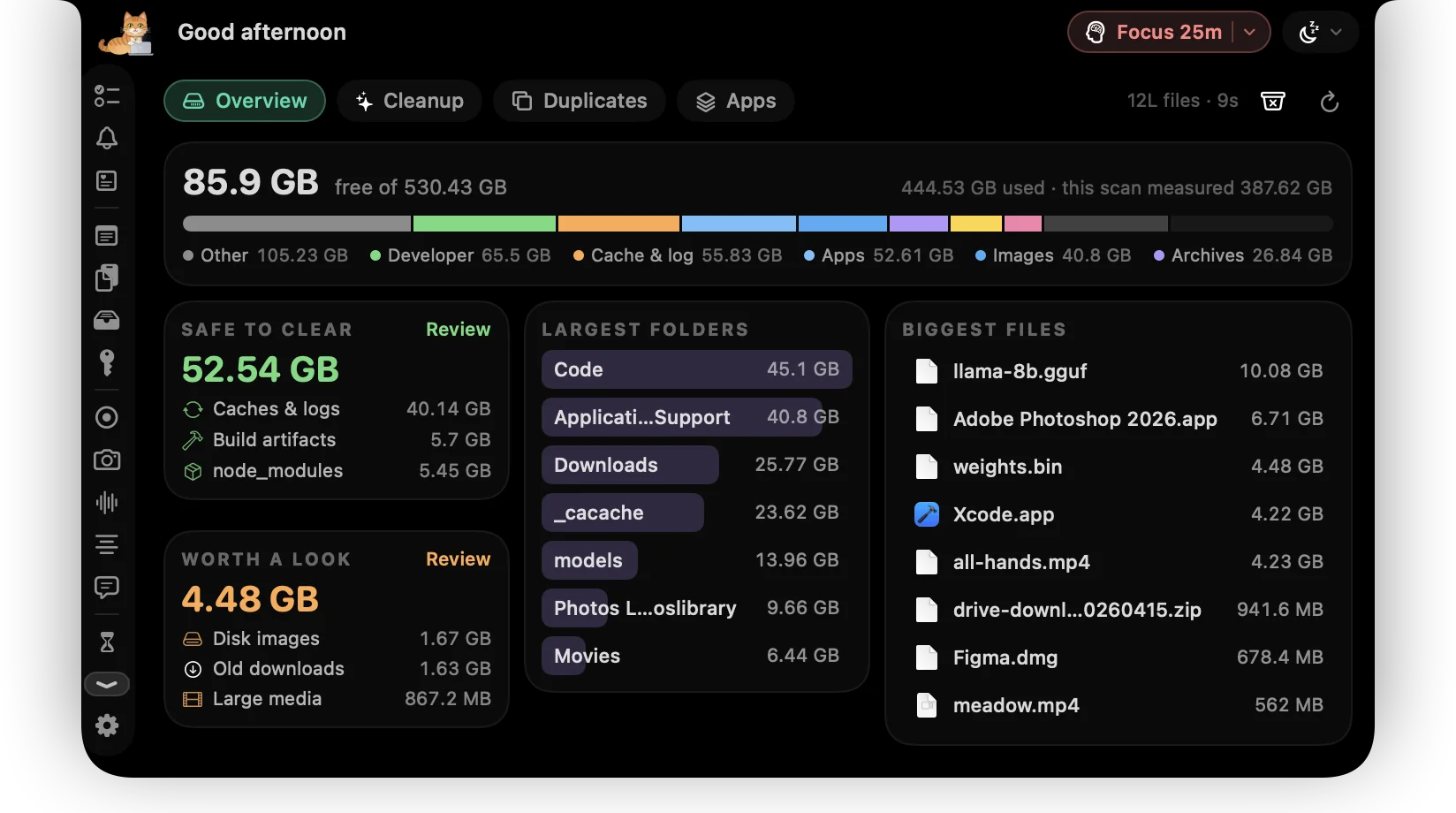 Disk tab with free space, safe-to-clear and worth-a-look totals, largest folders and biggest files